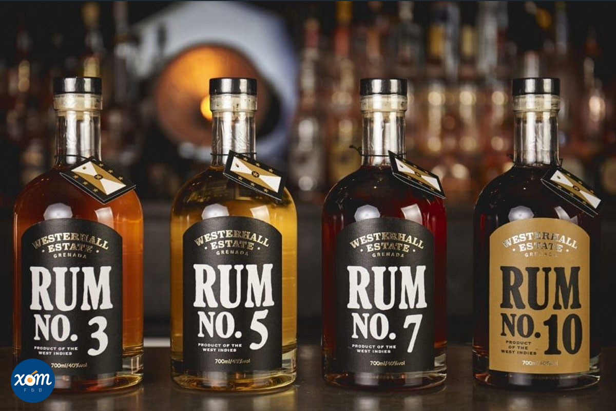 Các Loại Rượu Nền Phổ Biến Mà Một Bartender Nên Biết 